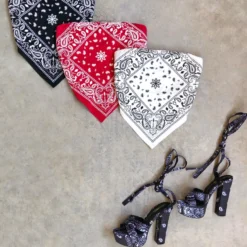 Lorlie BANDANA CLEAR STRAPS CROP TOP